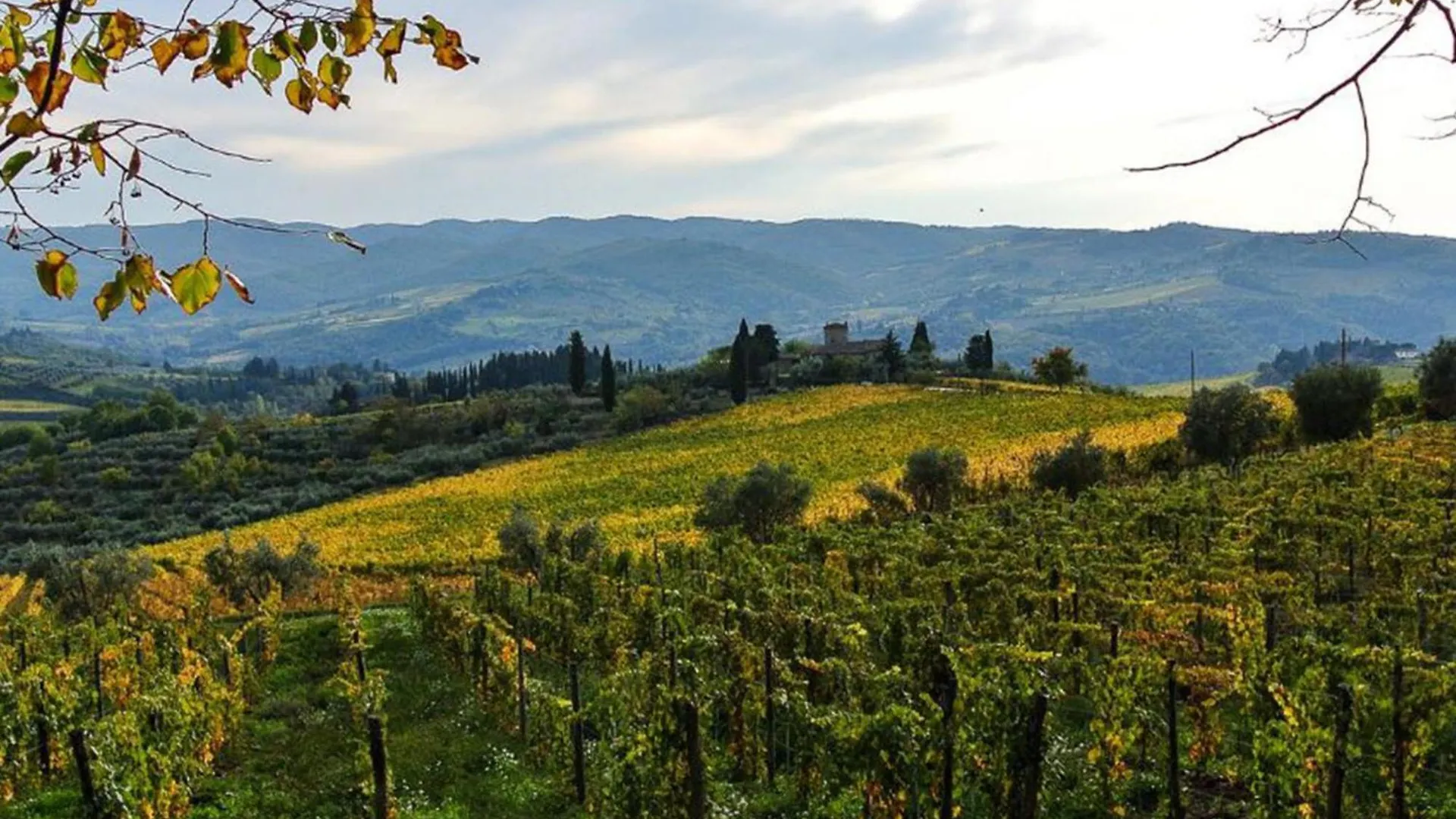 Holiday Home Borgo Castagnoli-4 By Interhome Greve in Chianti Italy
